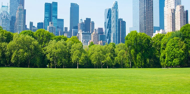 Green Spaces: The Importance of Nature in Urban Environments