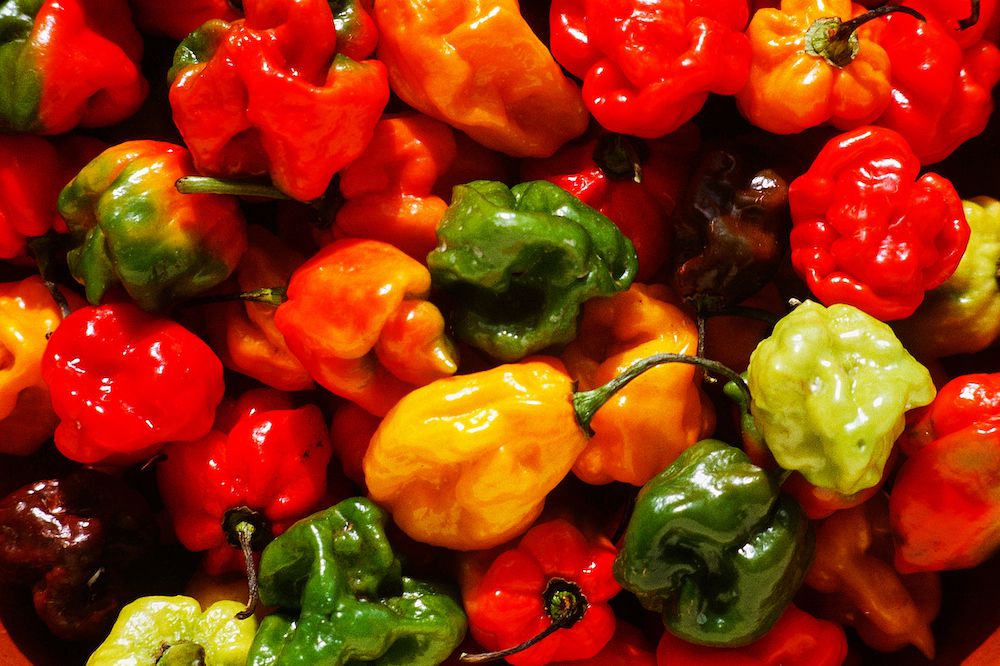 Culinary Uses of the Hottest Chilli